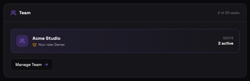 Team card in Account Settings showing the team name, your role, active seats, and a Manage Team button