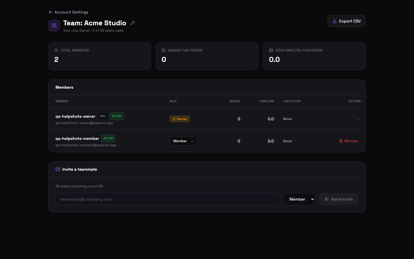 Team management page with activity overview cards, a member roster showing roles and usage, and the invite form